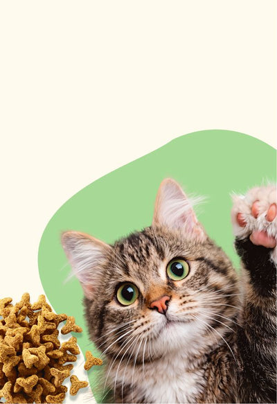 Sterilised cat kibble