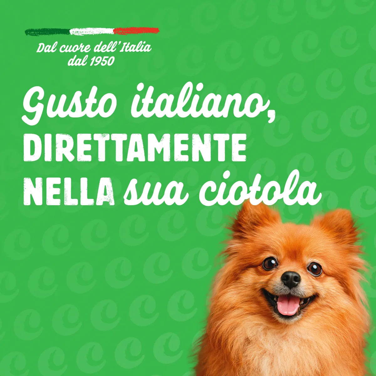 crocchette mini con pollo e manzo per cani adulti -5