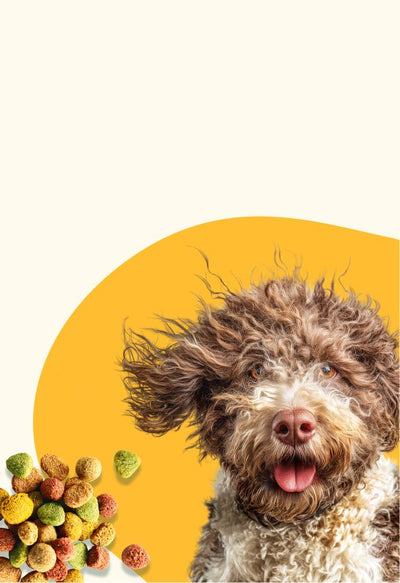 Kibbles