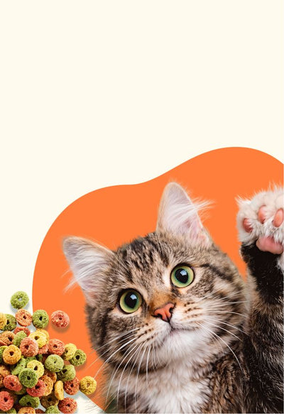 Kibble