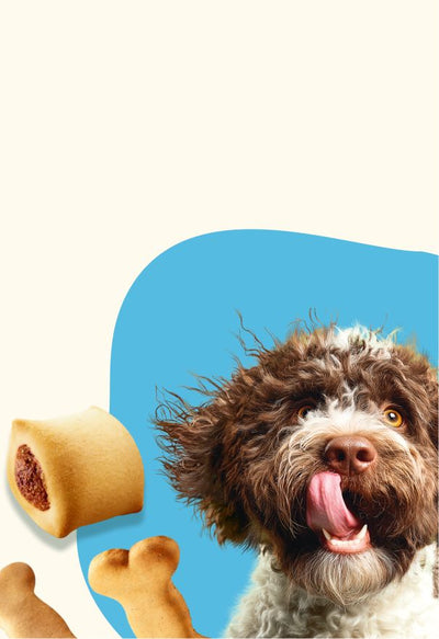 Snacks and cookies