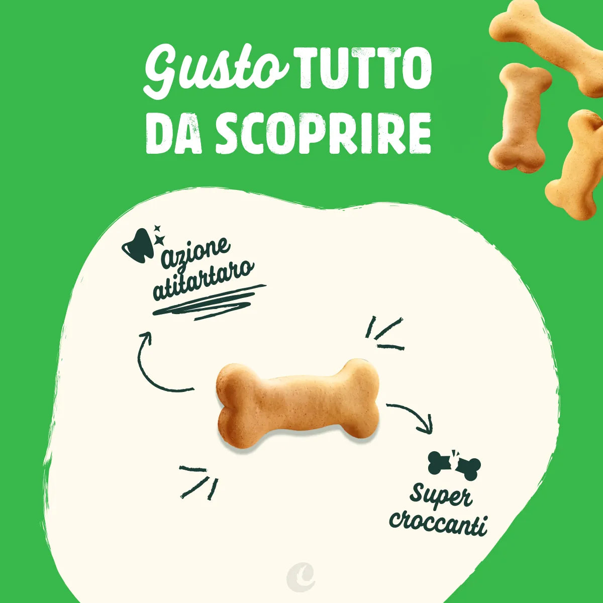 biscotti al pollo con vitamine per cani -4