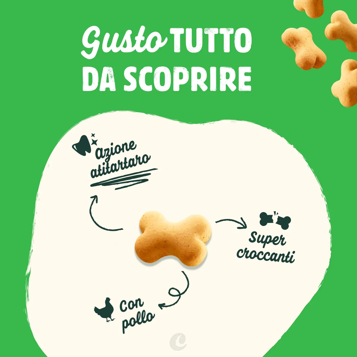biscotti mini al pollo per cani -4
