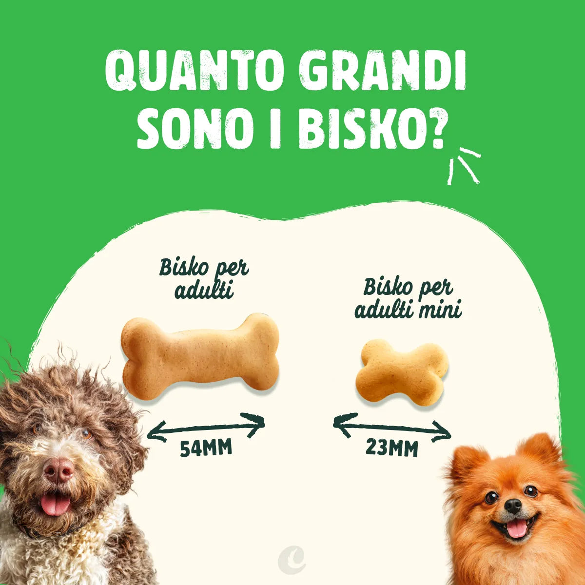 biscotti mini al pollo per cani -5