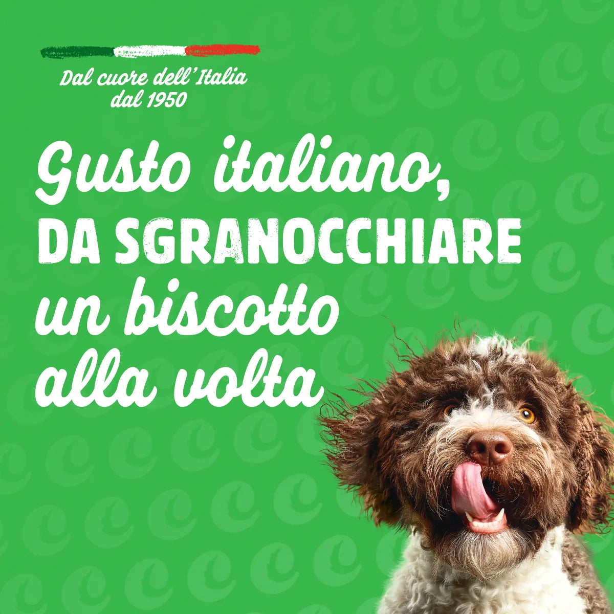 bocconcini ripieni al pollo per cani -6