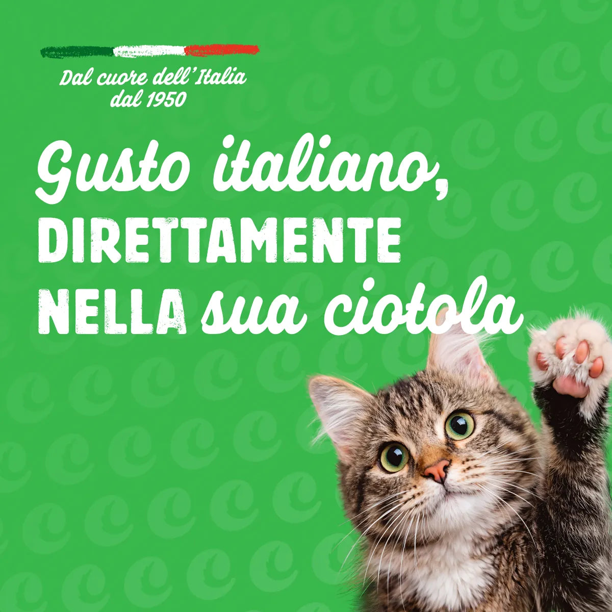 crocchette con manzo per gatti adulti -6