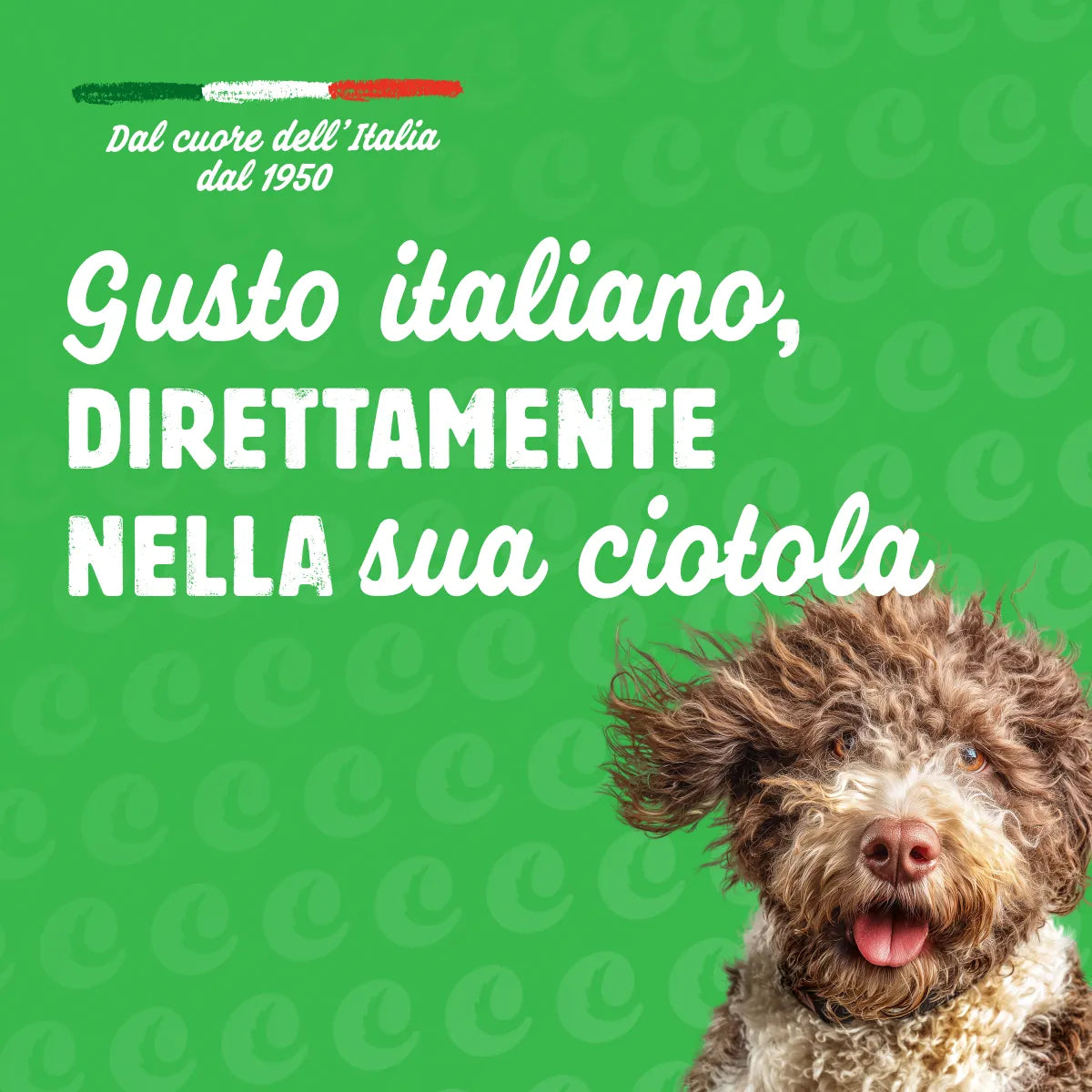 crocchette con pollo per cani adulti -5