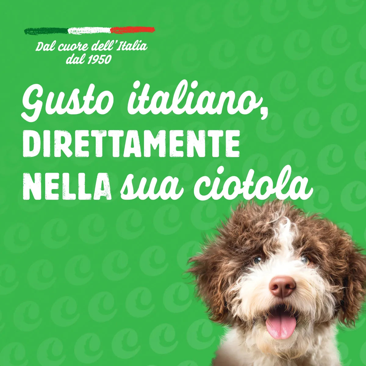 crocchette con pollo per cuccioli di cane -5