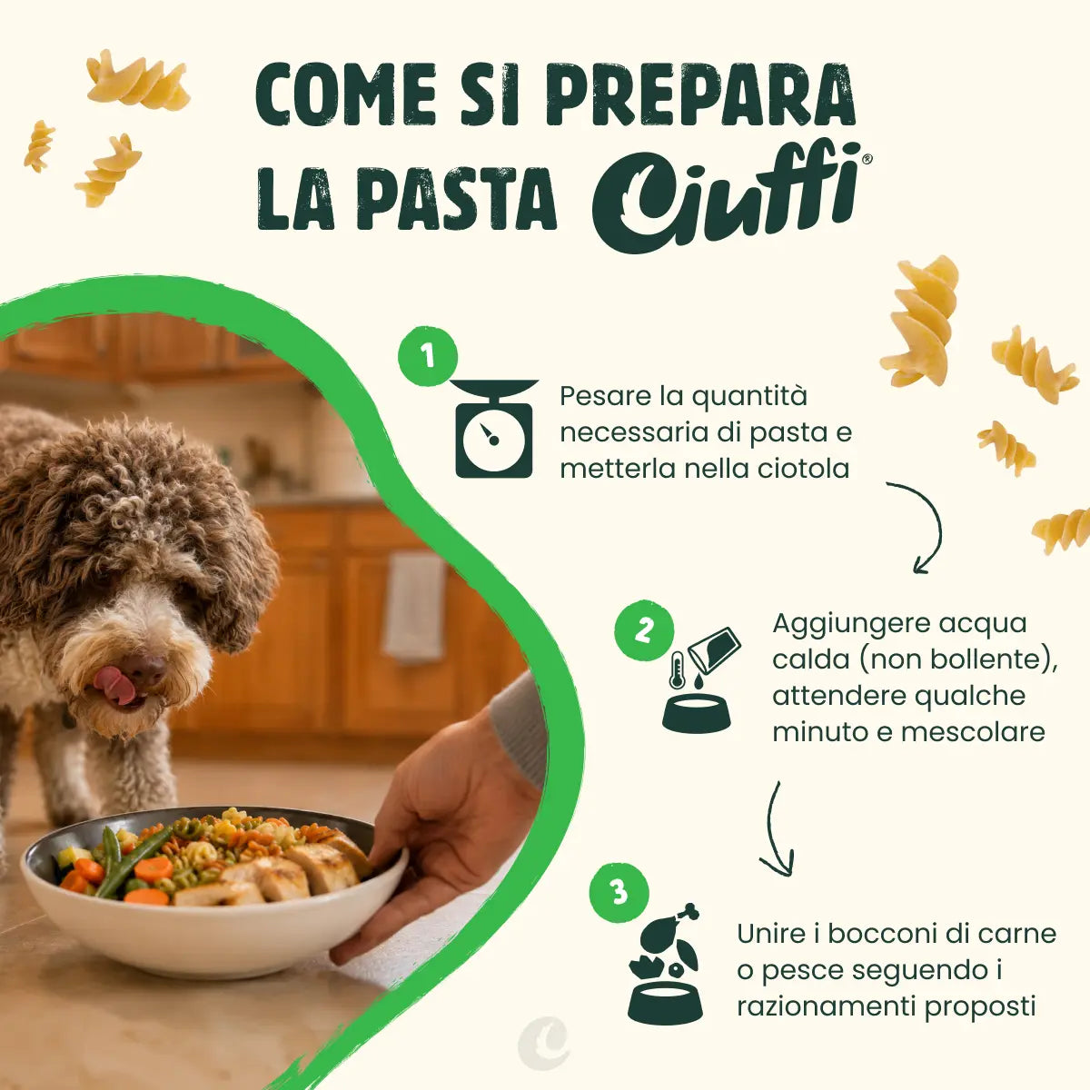 pasta precotta per cani -4