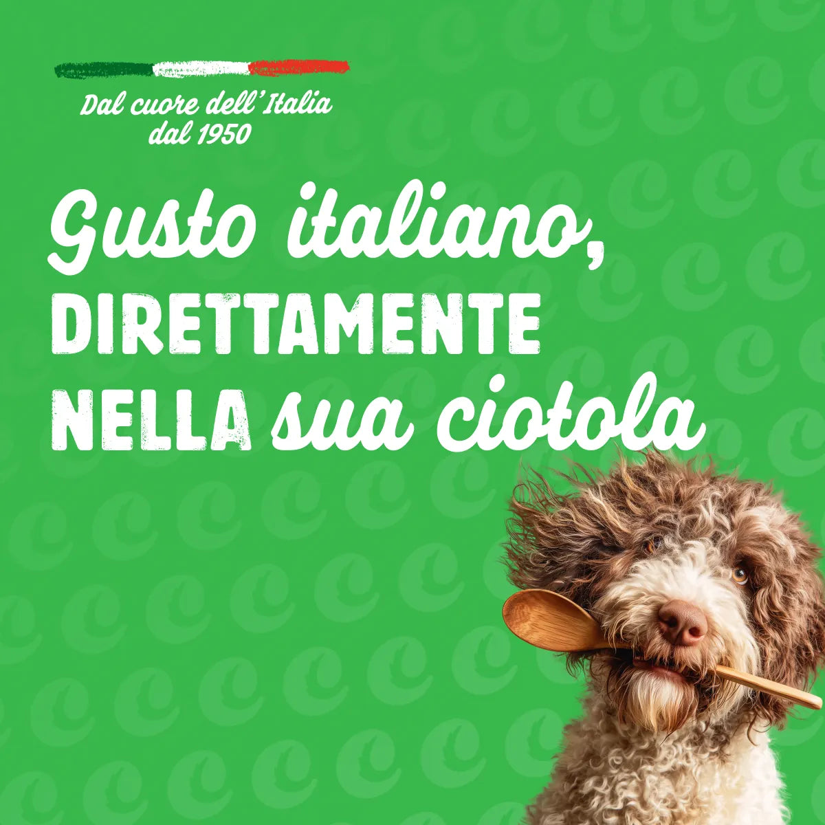 pasta precotta per cani -6